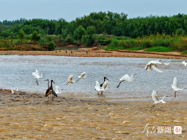 1760516959700772.jpg 66666.jpg