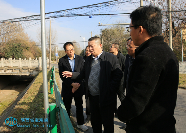 1765162572119908.jpg CF3A3417 - 副本.JPG