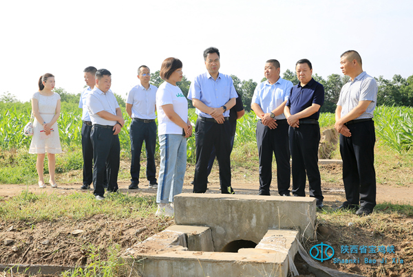 1690168169992657.jpg CF3A3692 - 副本.JPG